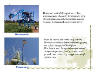 Designed: to straddle a plot and collect
              measurements of canopy temperature, crop
              stress indices, crop chemometrics, canopy
              volume, biomass and crop ground cover




Phenomobile

              From 16 meters above the crop canopy.
              Phenotower collects infra-red thermography
              and colour imagery of field plots.
              This data is used for spatial comparison of
              canopy temperature, leaf greenness and
              groundcover between genotypes at a single
              point in time.



 Phenotower
 