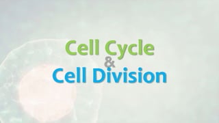 Cell Cycle
Cell Division
&
 