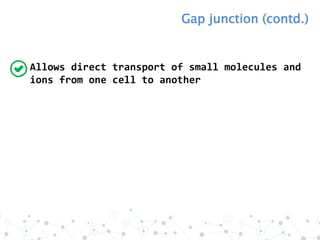 Allows direct transport of small molecules and
ions from one cell to another
Gap junction (contd.)
 