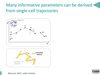 CC BY-SA 4.0
Many informative parameters can be derived
from single-cell trajectories
Euclidean
distance
Cumulative
distance
x
y
single cell
Masuzzo, 2017, under revision
 
