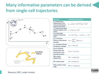 CC BY-SA 4.0
Many informative parameters can be derived
from single-cell trajectories
Euclidean
distance
Cumulative
distance
x
y
single cell parameter mathematical description
di: instantaneous
displacement of the
cell centroid between
adjacent time points
𝑑𝑖 = 𝑥𝑖+1 − 𝑥𝑖
2 + 𝑦𝑖+1 − 𝑦𝑖
2
si: instantaneous speed
between adjacent time
points
𝑠𝑖 = 𝑑(𝑝𝑖, 𝑝𝑖+1) ∆𝑡
αi: turning angle
between consecutive
steps
𝛼𝑖 = 𝑡𝑎𝑛−1 𝑦𝑖+1 − 𝑦𝑖 𝑥𝑖+1 − 𝑥𝑖
dtot: cumulative
distance, total distance
travelled
𝑑 𝑡𝑜𝑡 =
𝑖=1
𝑁−1
𝑑 𝑝𝑖, 𝑝𝑖+1
dnet: Euclidean distance,
net distance travelled
𝑑 𝑛𝑒𝑡 = 𝑑 𝑝1, 𝑝 𝑁
ep_dr: end-point
directionality ratio
(confinement ratio,
meandering index)
𝑒𝑝_𝑑𝑟 = 𝑑 𝑛𝑒𝑡 𝑑 𝑡𝑜𝑡
MD: median
displacement
𝑀𝐷 = 𝑚𝑒𝑑𝑖𝑎𝑛 𝑑𝑖
MS: median speed 𝑀𝑆 = 𝑚𝑒𝑑𝑖𝑎𝑛 𝑠𝑖
MTA: median turning
angle
𝑀𝑇𝐴 = 𝑚𝑒𝑑𝑖𝑎𝑛 𝛼𝑖
Masuzzo, 2017, under revision
 