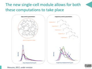 CC BY-SA 4.0
The new single-cell module allows for both
these computations to take place
...
trajectory 1
trajectory 2
trajectory 3
trajectory 4
trajectory 5
trajectory-centric parameters
trajectory displacement (µm)
density
step displacement (µm)
density
pool of migration steps
step-centric parameters
Masuzzo, 2017, under revision
 