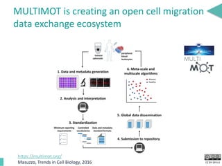 CC BY-SA 4.0
MULTIMOT is creating an open cell migration
data exchange ecosystem
https://multimot.org/
Masuzzo, Trends in Cell Biology, 2016
 
