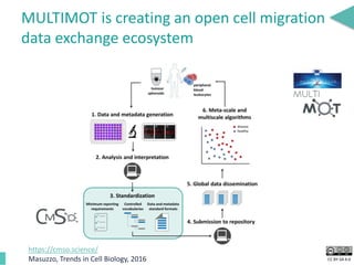 CC BY-SA 4.0
MULTIMOT is creating an open cell migration
data exchange ecosystem
https://cmso.science/
Masuzzo, Trends in Cell Biology, 2016
 