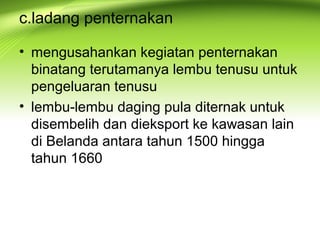 c.ladang penternakan
• mengusahankan kegiatan penternakan
binatang terutamanya lembu tenusu untuk
pengeluaran tenusu
• lembu-lembu daging pula diternak untuk
disembelih dan dieksport ke kawasan lain
di Belanda antara tahun 1500 hingga
tahun 1660
 