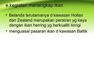 e.kegiatan menangkap ikan
• Belanda terutamanya d kawasan Hollan
dan Zealand merupakan perairan yg kaya
dengan ikan herring yg berkualiti tinngi
• menguasai pasaran ikan d kawasan Baltik
 