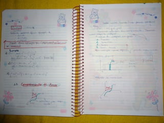 Mat003 caderno hanneli