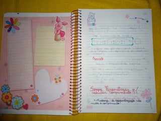 Mat003 caderno hanneli