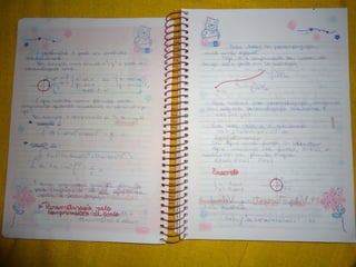 Mat003 caderno hanneli