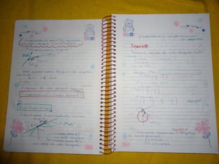 Mat003 caderno hanneli