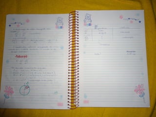 Mat003 caderno hanneli