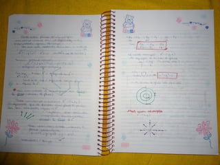 Mat003 caderno hanneli