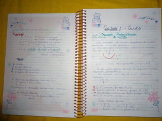 Mat003 caderno hanneli