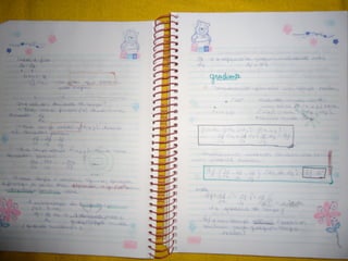 Mat003 caderno hanneli