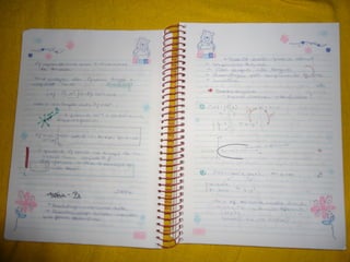 Mat003 caderno hanneli