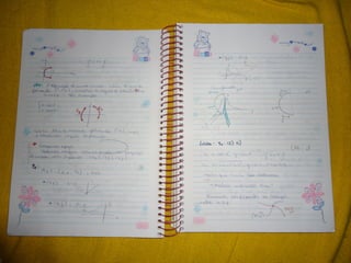 Mat003 caderno hanneli