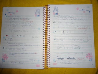 Mat003 caderno hanneli