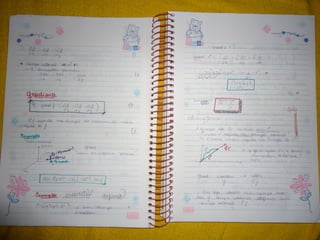 Mat003 caderno hanneli