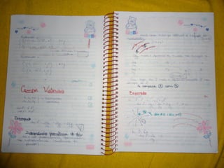 Mat003 caderno hanneli