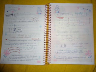 Mat003 caderno hanneli