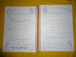 Mat003 caderno hanneli