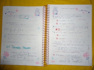 Mat003 caderno hanneli