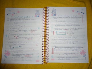 Mat003 caderno hanneli