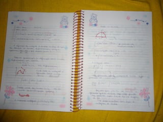 Mat003 caderno hanneli