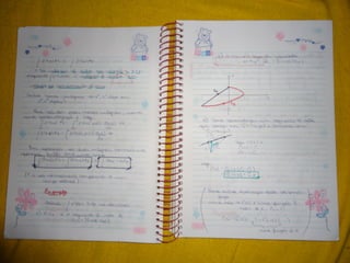 Mat003 caderno hanneli