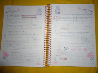 Mat003 caderno hanneli