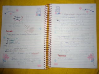 Mat003 caderno hanneli