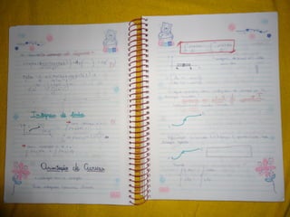 Mat003 caderno hanneli