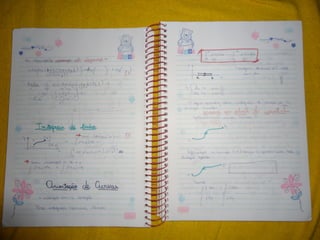 Mat003 caderno hanneli