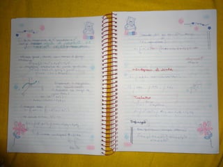 Mat003 caderno hanneli