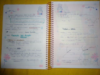 Mat003 caderno hanneli