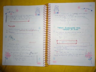 Mat003 caderno hanneli