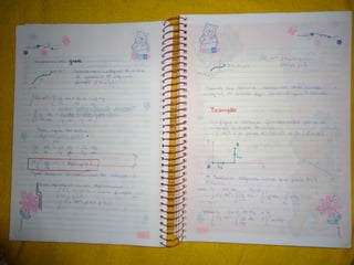 Mat003 caderno hanneli