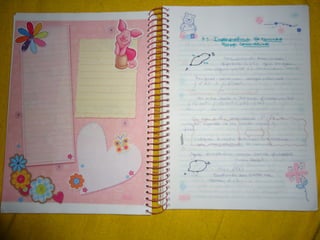 Mat003 caderno hanneli