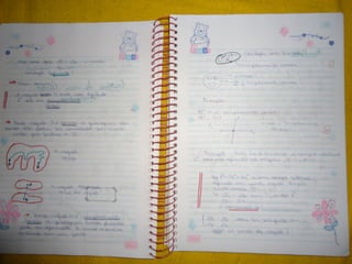 Mat003 caderno hanneli