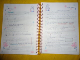 Mat003 caderno hanneli