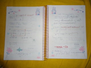 Mat003 caderno hanneli