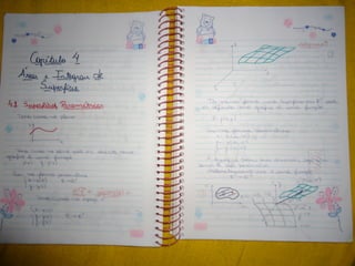 Mat003 caderno hanneli