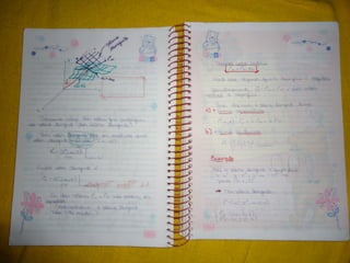 Mat003 caderno hanneli