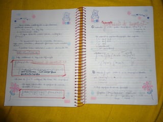 Mat003 caderno hanneli