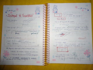 Mat003 caderno hanneli