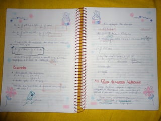 Mat003 caderno hanneli