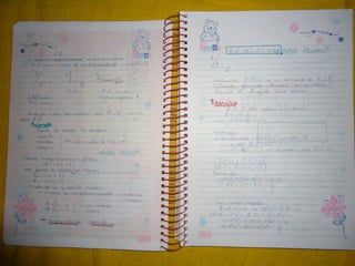 Mat003 caderno hanneli