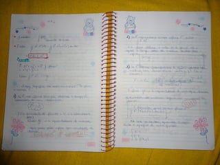 Mat003 caderno hanneli