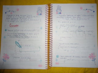 Mat003 caderno hanneli