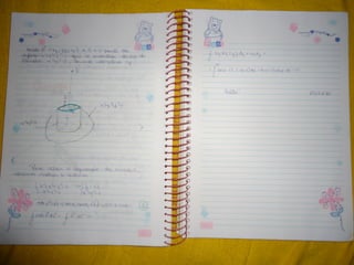 Mat003 caderno hanneli